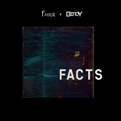 Fader x Birdy - FACTS