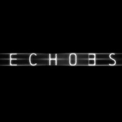 ECHOES IN SILENCE