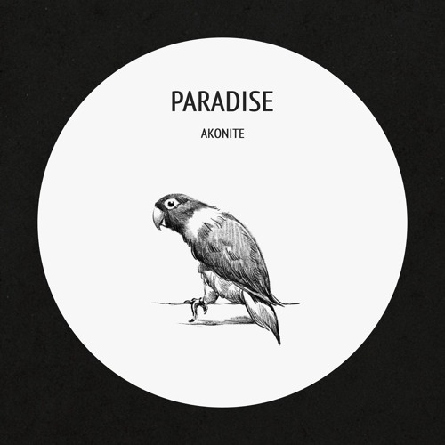 Akonite - Paradise (Original Mix)