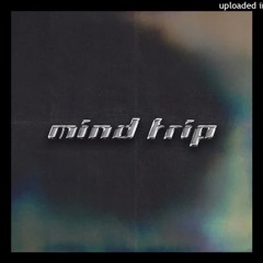Boudi & Boy Boogie - Mind Trip (Original Mix)