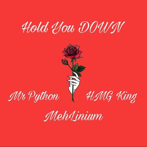 Mr Python X MehliniumX HMG King - Hold You Down Official Audio
