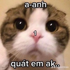 cuti