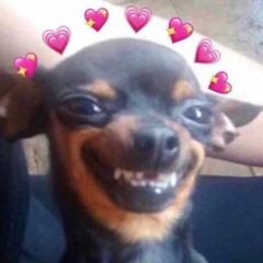 Mrs. Mendoza