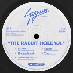 Various Artists - The Rabbit Hole V.A. (SEGUIM003)