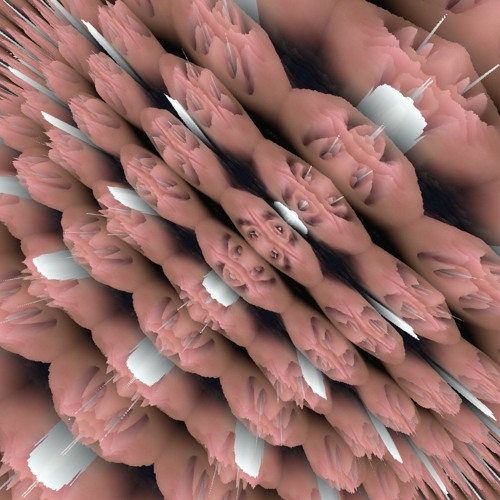 ableton self live session.wav