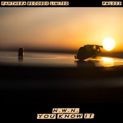 N.W.N. - You Know It (Original Mix)