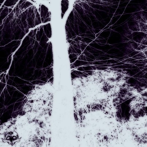 wolf (prod. beefy btz)