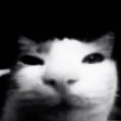 caught slippin' | meme