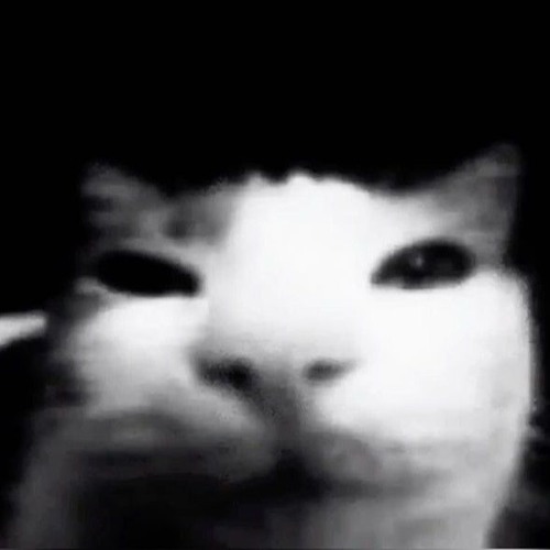 caught slippin' | meme