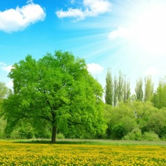 de dani bagnascod dani el dani gatod dani pantum audio background music (FREE DOWNLOAD)