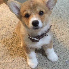 Xổ số Miso88 - Địa chỉ tin cậy review, nhận xét và đánh giá các nhà cái lô đề online uy tín