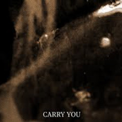 Martin Garrix & Third Party - Carry You (feat. Winona Oak & Declan J Donovan)