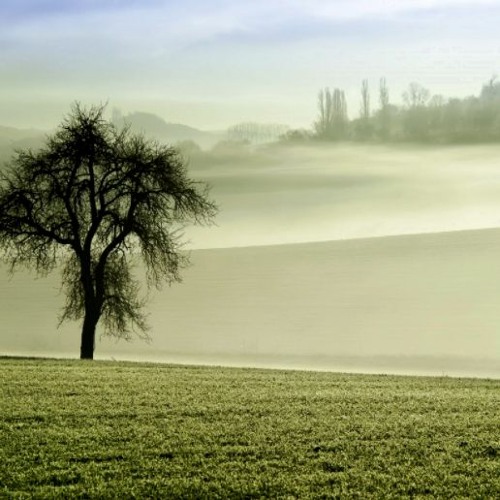 soft background music for presentation mp3 free download pagalworld