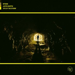Justin Martin - Eye of the Storm
