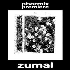 Premiere: Zumal - Brain Debugging [FRND02]