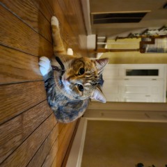 D n B (Mix) - Pistol GreenY July '24