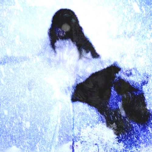 the space in my head
