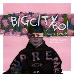 Binz - Bigcityboi (TPal Hype Acapella Intro Outro  Edit) F#m 100bpm