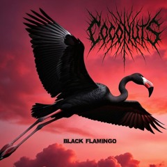 Black Flamingo-Demo