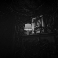 Camera Obscura