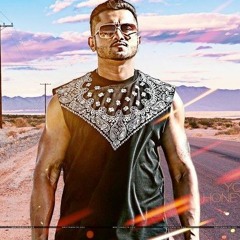 Desi kalakar.slowed reverb Yo Yo Honey singh