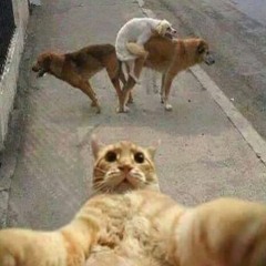 808SucioTrap ChillMugreGrime