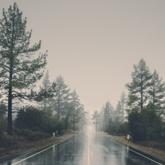 Fading echoes - Lydia Hart