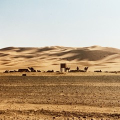 on the Desert Trail
