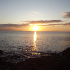 Sunrays