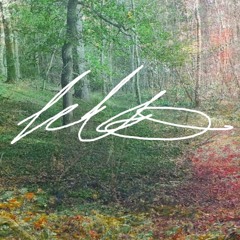 FIBREGLASS INSULATION