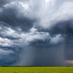 Rainsong (Fortune’s Lullaby)