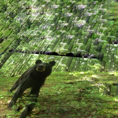 You Should Be Thanking Me