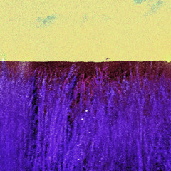 Not Up To It (Better Days)