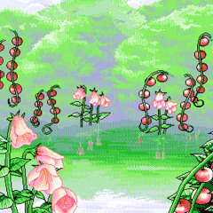 𝙢𝙞𝙨𝙩𝙮 𝙢𝙤𝙧𝙣𝙞𝙣𝙜