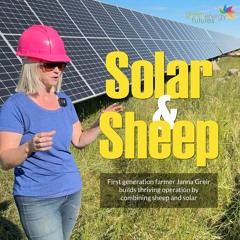 394A. Solar and Sheep - First generation farmer builds thriving operation by combining the two