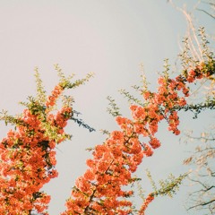 Higher Love (James Vincent McMorrow Remix)