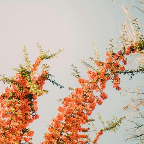 Higher Love (James Vincent McMorrow Remix)