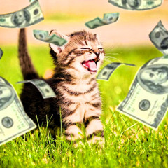 M.M.A -Money Makin Anthem.