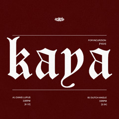Kaya - Dutch Angle