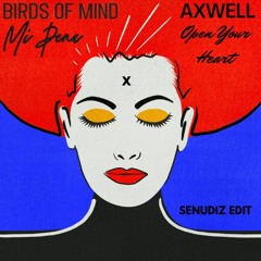 Birds of Mind x Axwell - Mi Pena x Open Your Heart (Senudiz Edit)