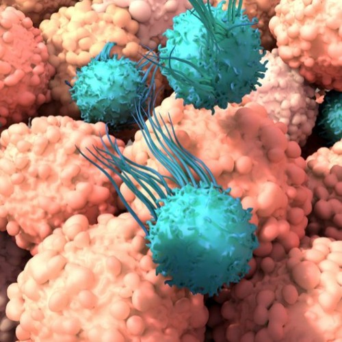 Stream episode Tech Blast CART cell therapy development from