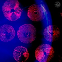 Lost In Ether | P R E M I E R E | Foreseer - Liliths Tear [GRANULAR SPECTRUM]