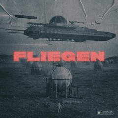 FLIEGEN REMIX (prod. Cryptic)