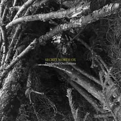 The Tree Line (feat. Arto Karvonen)