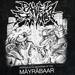 Pavel Svimba - Breakfast of the Boletus