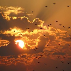 yebba - october sky (slowed + empty arena)