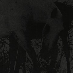 KR3.007 | JK Flesh - Veneer of Tolerance EP