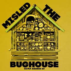 MISLED THE BUG HOUSE