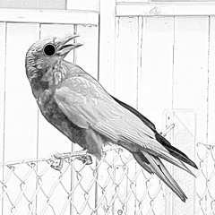 Der 8 Stunden Energydrink