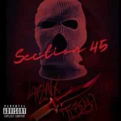 Section 45 (feat. Tbi$h)
